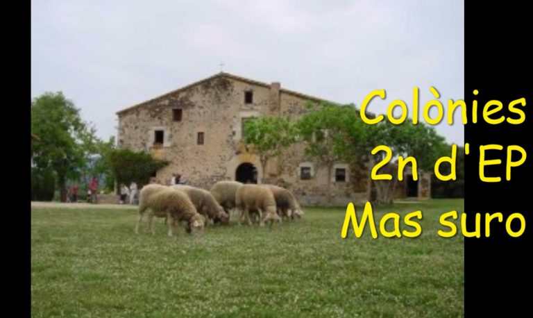 Colònies 2n d’EP – Mas Suro