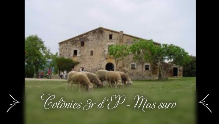Colònies 3r d’EP – Mas Suro