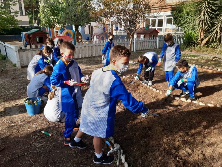 School Garden 1st Grade Dofins