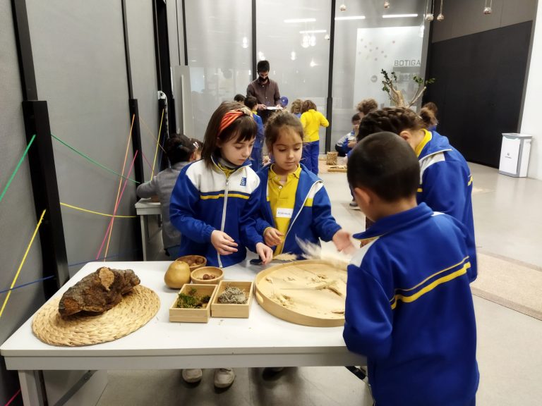 P5 Visita el Museu Blau