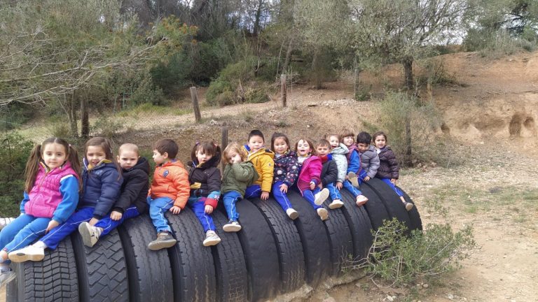 P3 Anem a la granja!