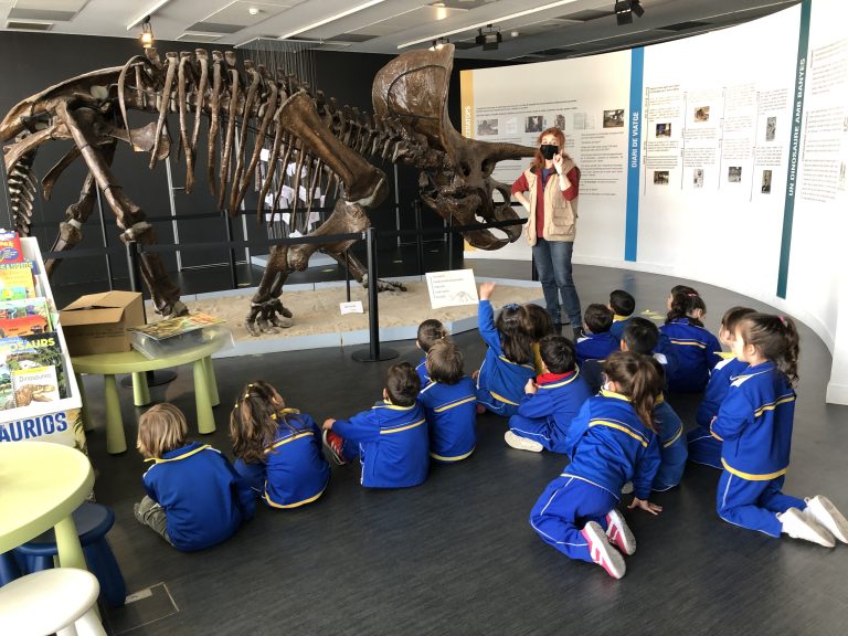 EI. p4 Visita el Museu paleontològic de Sabadell