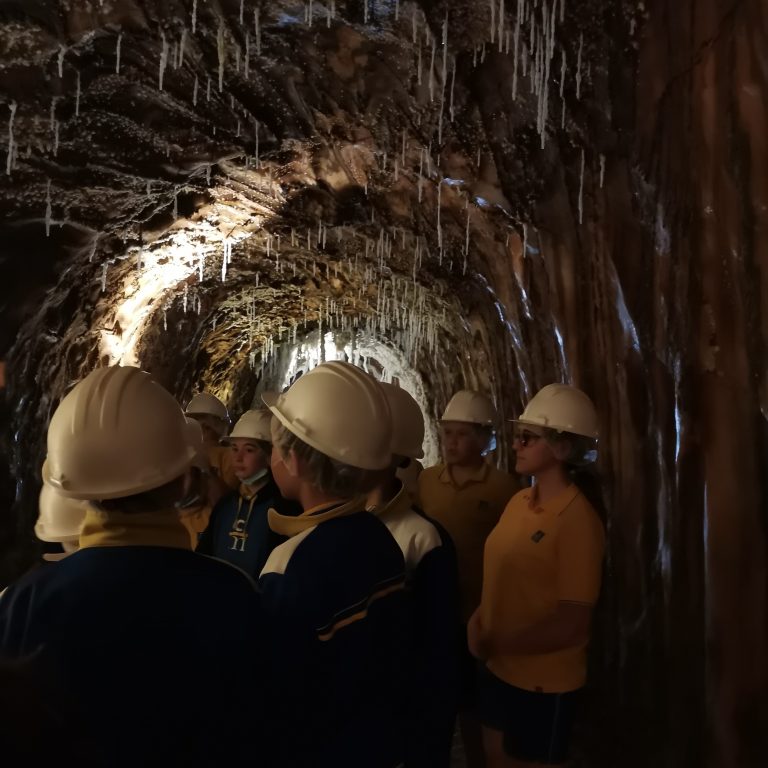 Excursió a les mines de sal de Cardona.