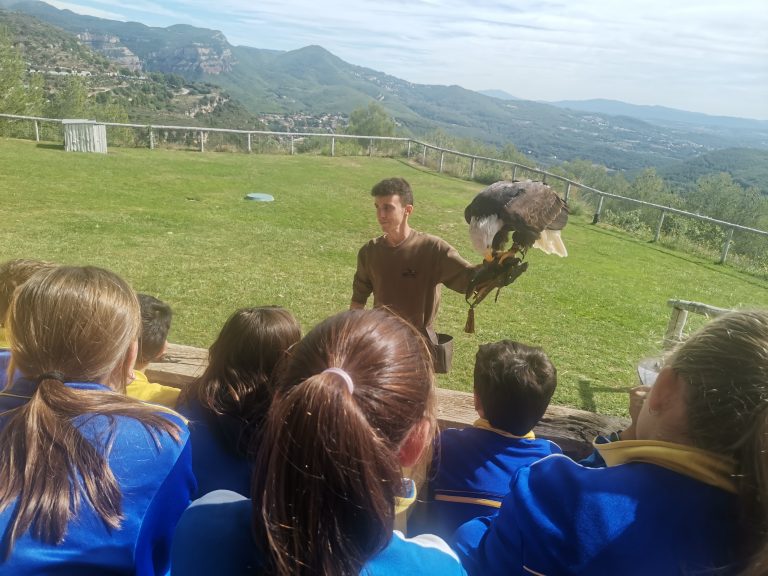 Sortida al Cim d’Àligues