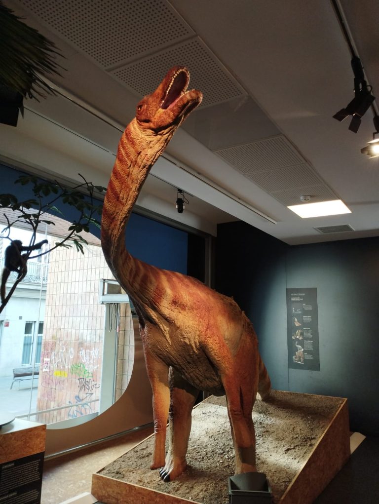 Sortida de I4 al Museu Paleontològic