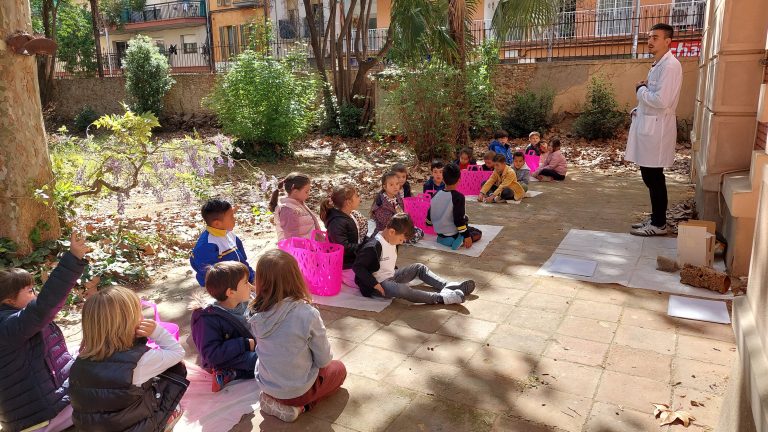 P5- Els nostres amics els ocells “Casa LLopis”