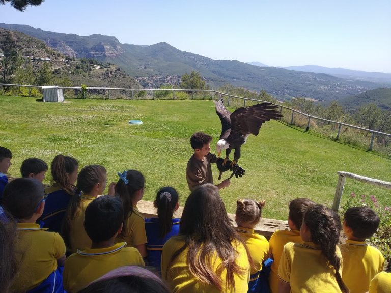 3r de primària al Cim d’Àligues
