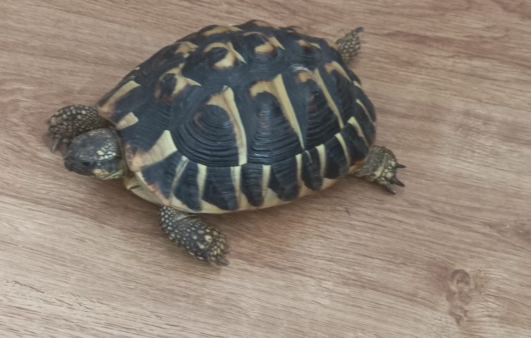 A I3 ens visita la Matilda