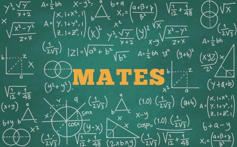 Dia escolar de les Matemàtiques