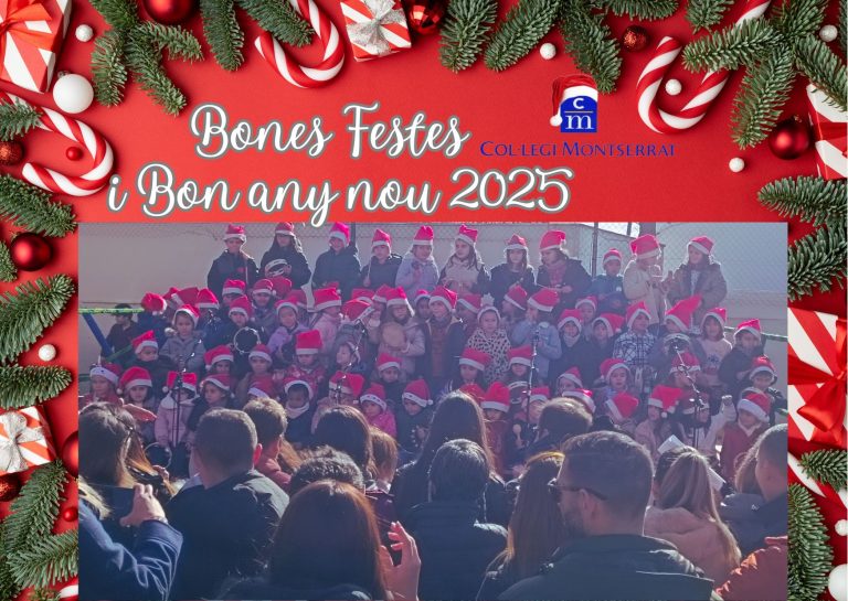 Us desitgem un Bon Nadal!