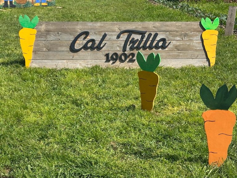 I3 Anem a Cal Trilla