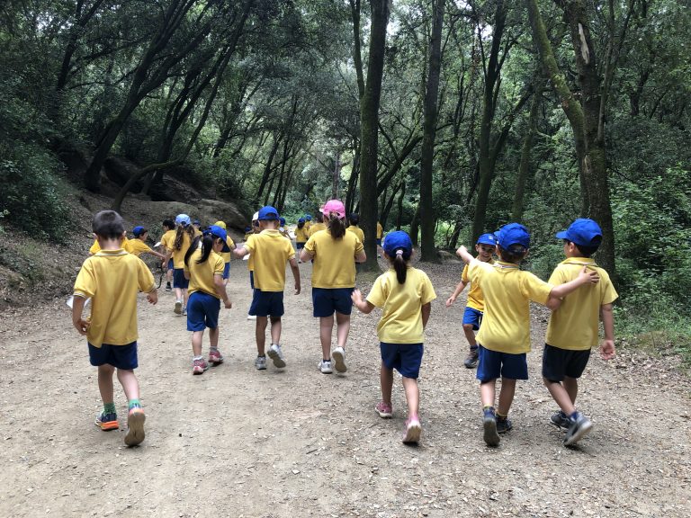 I5 Gimcana al Bosc (Can Coll)