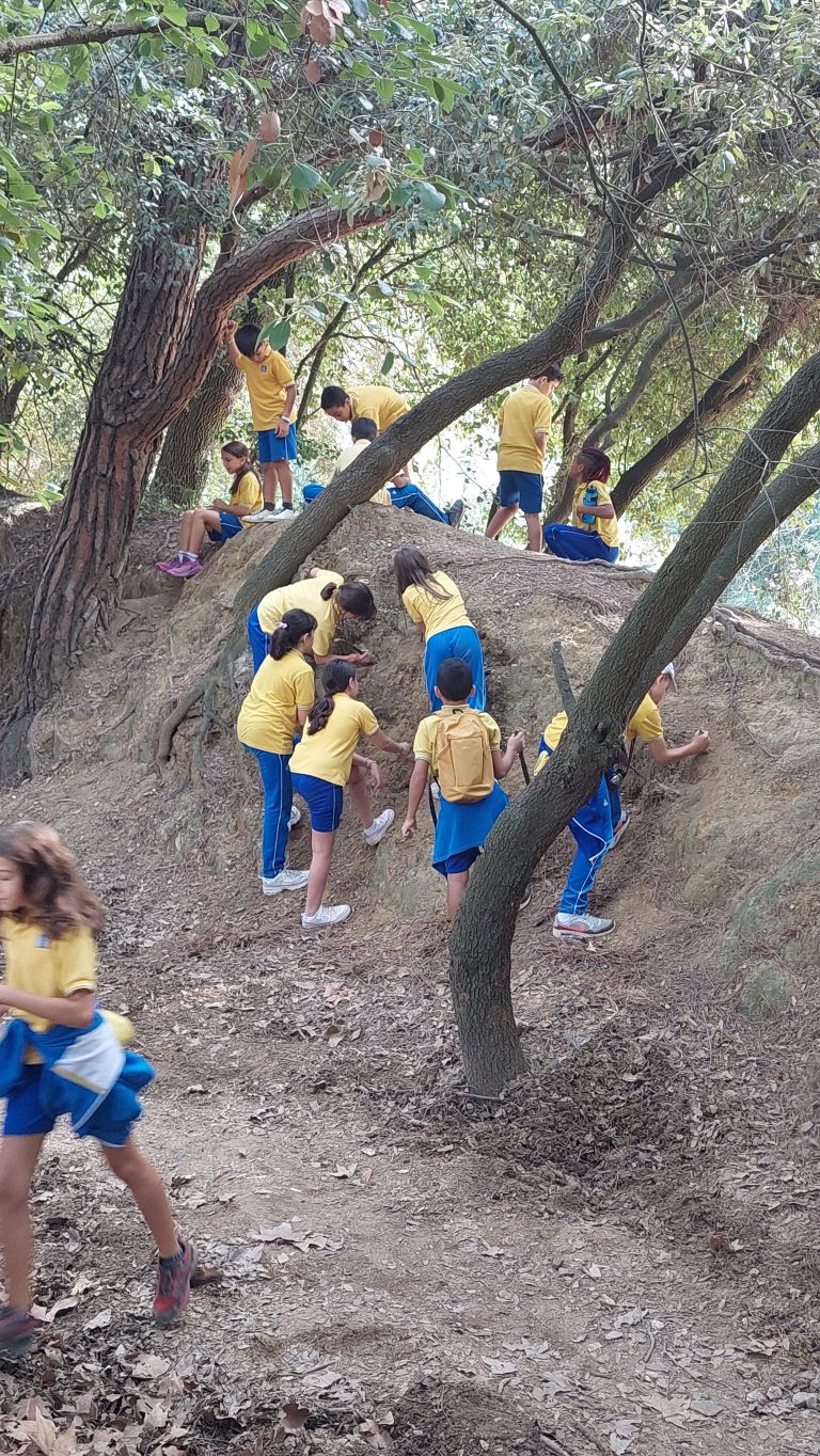 Els alumnes de 5è d’EP hem anat d’excursió a Collserola.