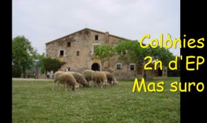 Colònies 2n d’EP – Mas Suro