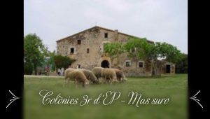 Colònies 3r d’EP – Mas Suro