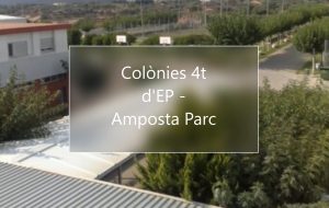 Colònies 4t d’EP – Amposta Parc