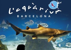 Sortida a l´Aquàrium de Barcelona. 1r Cicle Inicial.