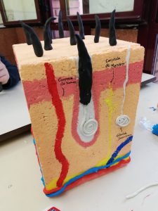 Projecte 3r d’ESO: els tatuatges