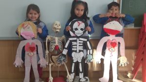 El Cos humà a P5