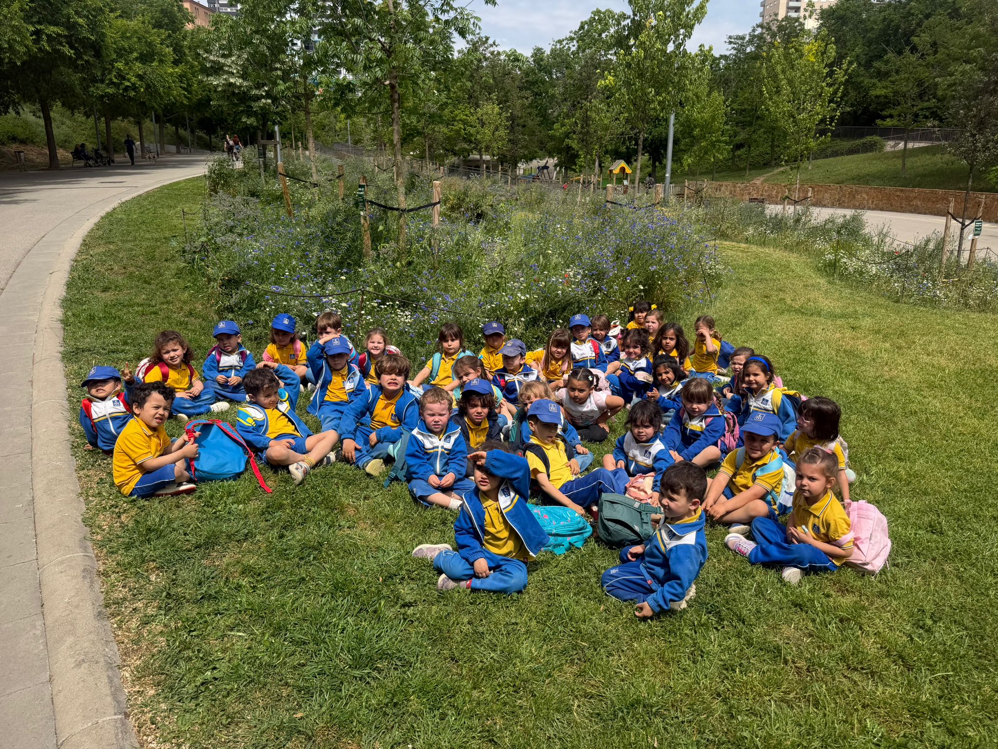 Els Peixos i les Tortugues anem d’excursió