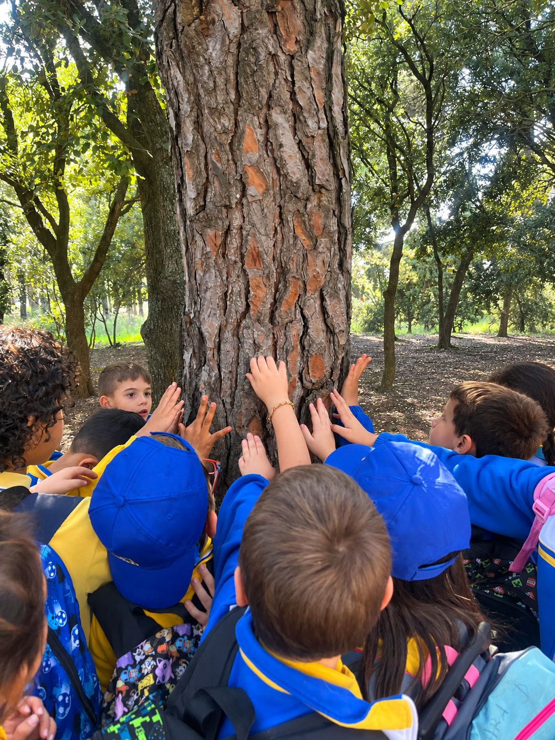 1r E.P  Sortida al Parc de la Salut